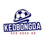 Nha cai Kèo Bóng Đá Profile Picture