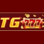Online Casino TG777 profile picture