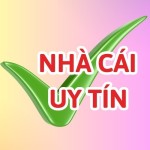 Nhà Cái Uy Tín Profile Picture