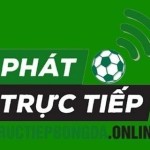 tructiepbongda online Profile Picture