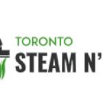 Toronto Steam n Clean Profile Picture