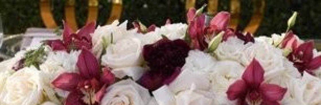 XO Bloom Cover Image