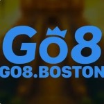 Go8 boston Profile Picture