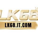 lk68it com Profile Picture