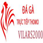 Đá Gà Trực Tiếp Thomo Profile Picture