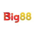 BIG88 Trang Chủ Chính Thức Nhà Cái Profile Picture
