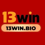Nhà cái 13win Profile Picture