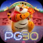 pg30 vip plataforma de jogos premium com Profile Picture