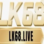 LK68 Profile Picture