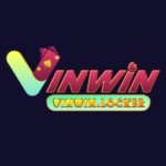 VINWIN VINWIN Profile Picture