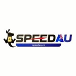 No Deposit Bonus Casino Profile Picture