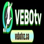 Vebotvz co Profile Picture