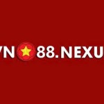 VN88 Nexus Profile Picture