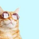 Marcos Patel Profile Picture