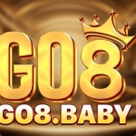 go8 band Profile Picture