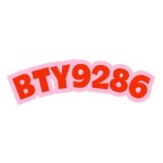 bty9286 net Profile Picture