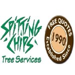 Spitting Chips Profile Picture