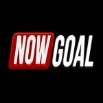 NOWGOAL1 tech Profile Picture