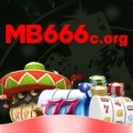 mb666c org Profile Picture
