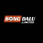 bongdalu airforce Profile Picture