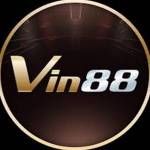 VIN 88 Profile Picture