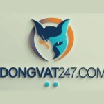 dongvat247 com Profile Picture