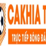 indigenascovid19 red thao túng kết quả Profile Picture