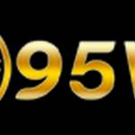 95vn 95vn Profile Picture