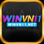 winvn11 net Profile Picture