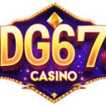 BDG678 BDG678 Profile Picture