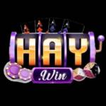 Haywin Profile Picture