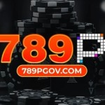 789pgov com Profile Picture