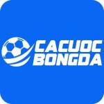 Cá Cược Bóng Đá Trang cá cược uy tín hiện nay Profile Picture