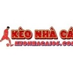 Kèo Nhà Cái Profile Picture