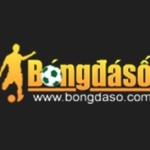 Bongdaso Fit Profile Picture