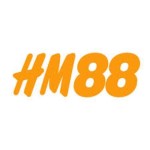 HM88 VINA Profile Picture