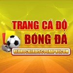 Trang Cá Độ Bóng Đá Profile Picture