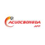 Cacuocbongda app Profile Picture