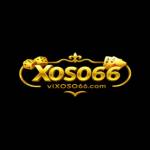 Xo so66 Profile Picture