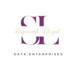 SL Data Enterprises Profile Picture