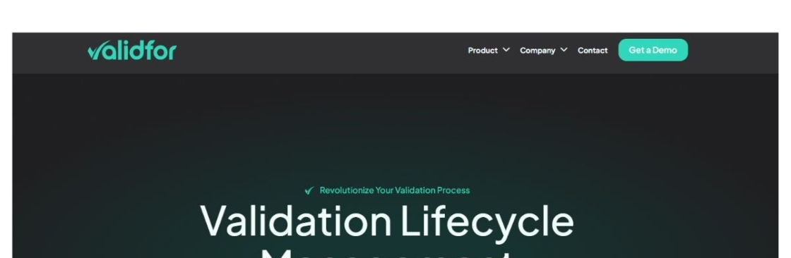 computerized system validation Cover Image
