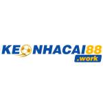 keonhacai88 work Profile Picture