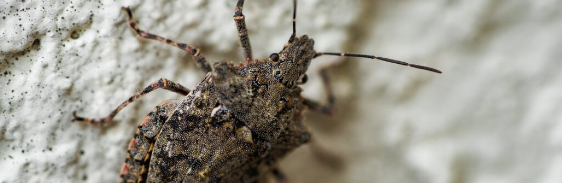 Agile Pest Control Cover Image