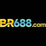br688 Profile Picture
