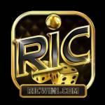 ricwin com Profile Picture