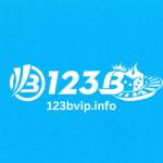 123b 123b Profile Picture