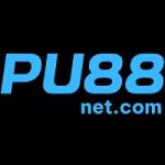 PU88 Profile Picture