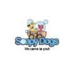 Soapy Dogs Profile Picture
