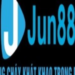 Jun888vi com Profile Picture