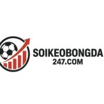Soi Kèo Profile Picture